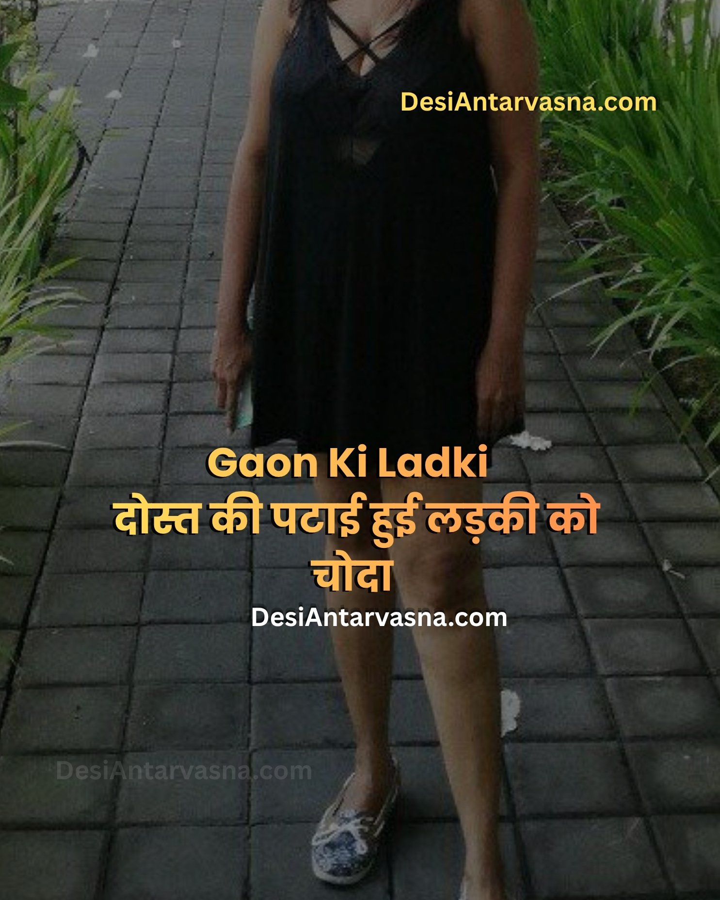 दोस्त की पटाई हुई लड़की को चोदा